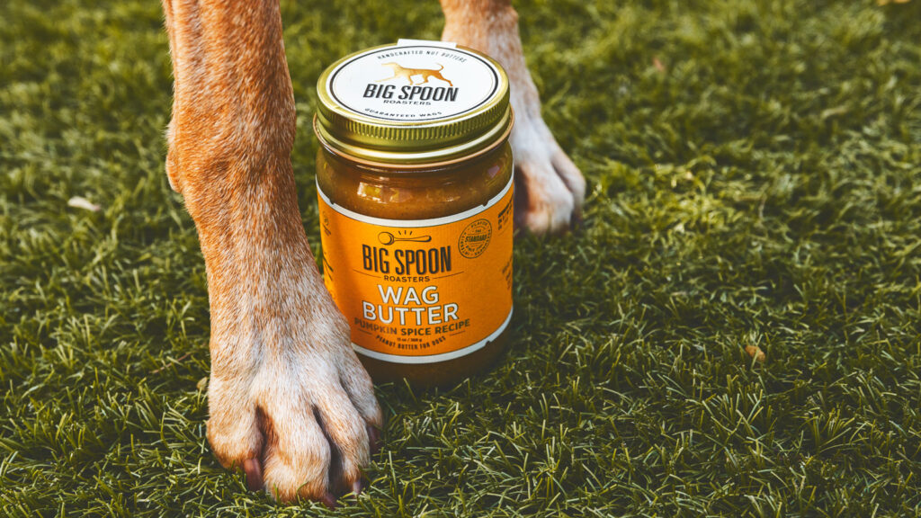Two dog paws on the grass with a jar of pumpkin spice wag butter between them.