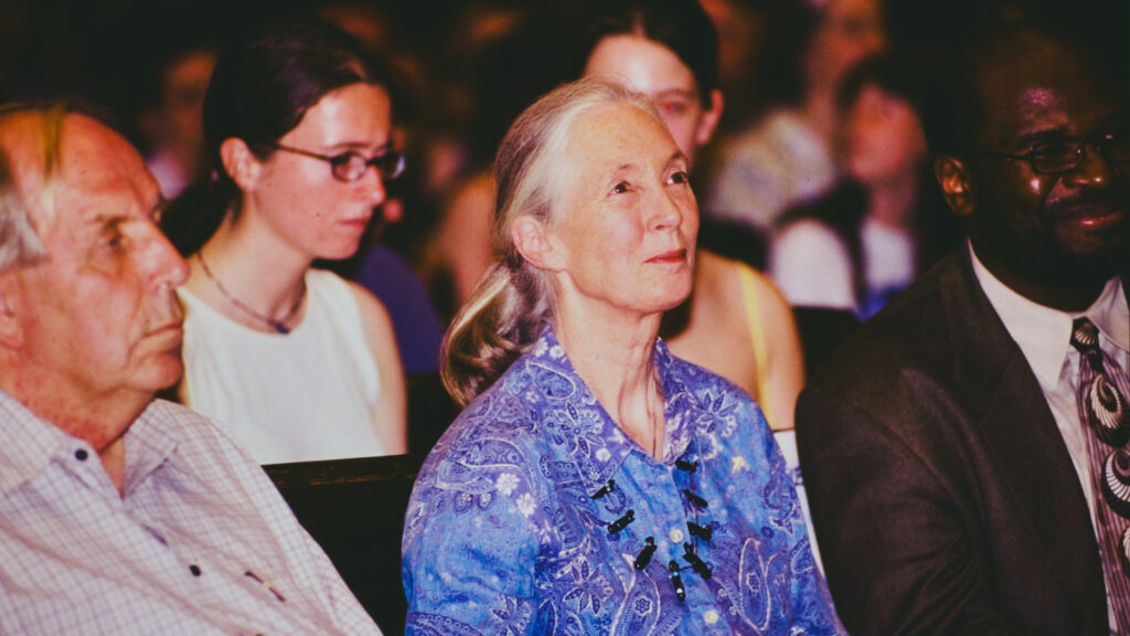 Jane Goodall sits in the audience at Sage Chapel
