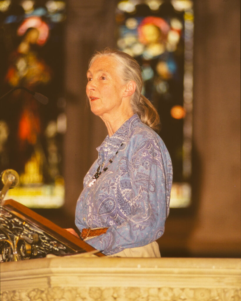 Jane Goodall speaking at Sage Chapel