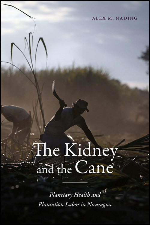 The cover of "The Kidney and the Cane"