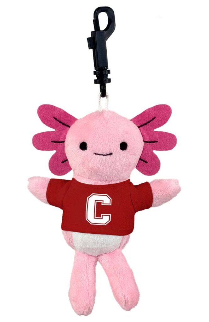 A keychain with a little pink stuffed creature wearing a Cornell shirt.