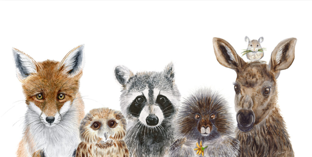 A painting of a fox, owl, raccoon, porcupine, deer, and mouse