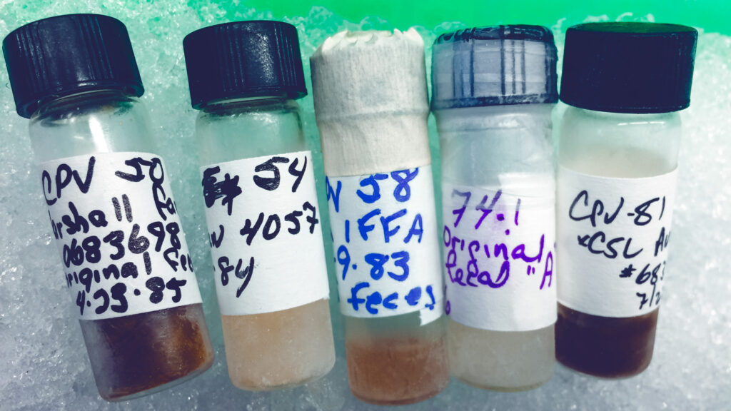 Five marked vials of old viral samples