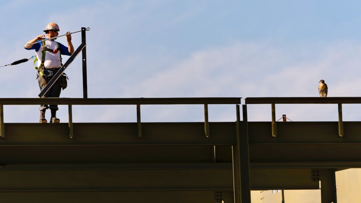 As Meinig Fieldhouse Rises, Iconic Red-tailed Hawks Stay Safe