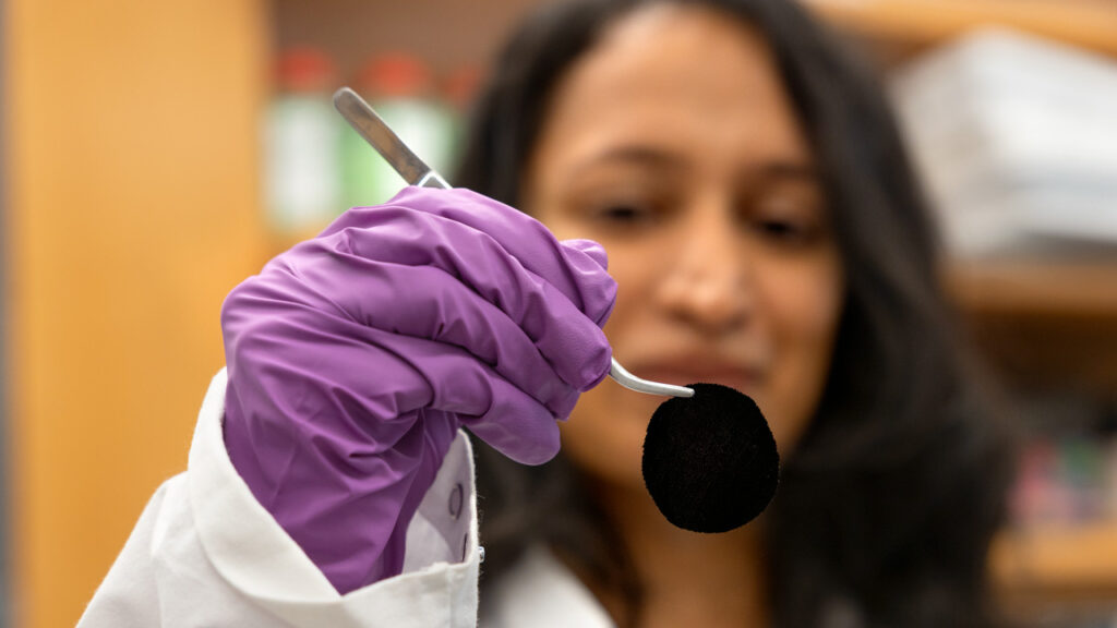 Ph.D. candidate in fiber science Hansadi Jayamaha, demonstrates the process for making their avian inspired ultra black dyed fabric in their lab in the Human Ecology Building on Wednesday, November 5, 2025. (Ryan Young / Cornell University)