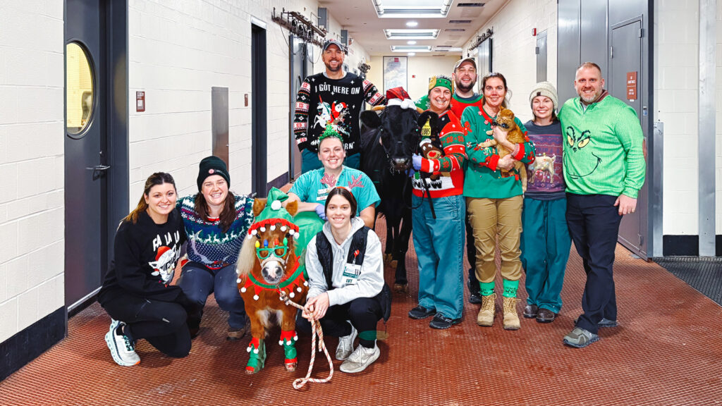 Minnie, decked out in holiday costume, poses with human and animal friends at the hospital for animals in 2025