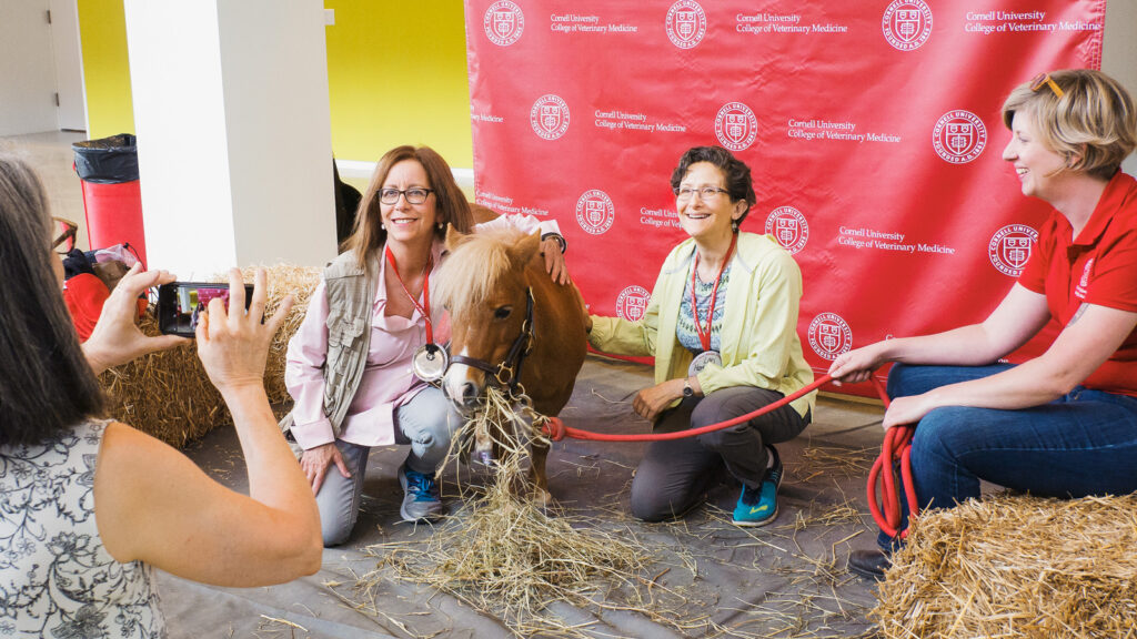 Minnie poses for photos at Reunion 2018