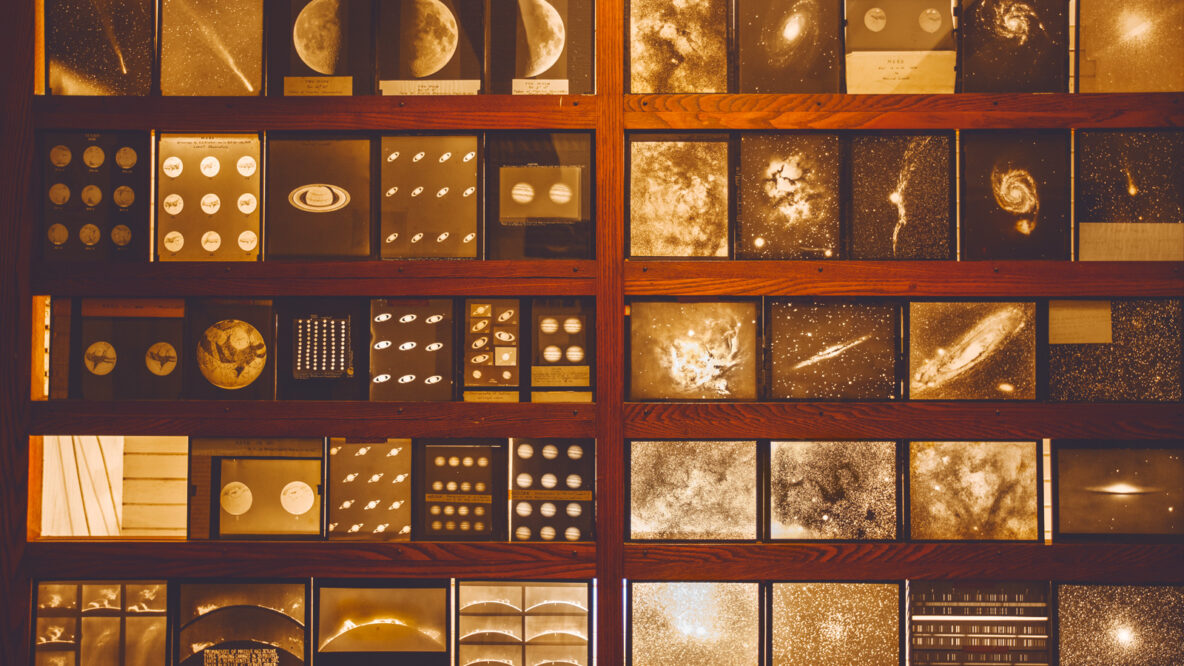 Fossils to Fortepianos: The Hill’s ‘Mini Museums’ and Collections