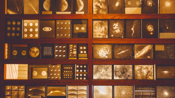 Fossils to Fortepianos: The Hill’s ‘Mini Museums’ and Collections