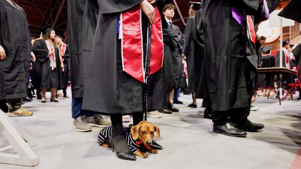 A four-legged attendee takes a break at their human's feet during the December 2025 recognition ceremony in Barton Hall