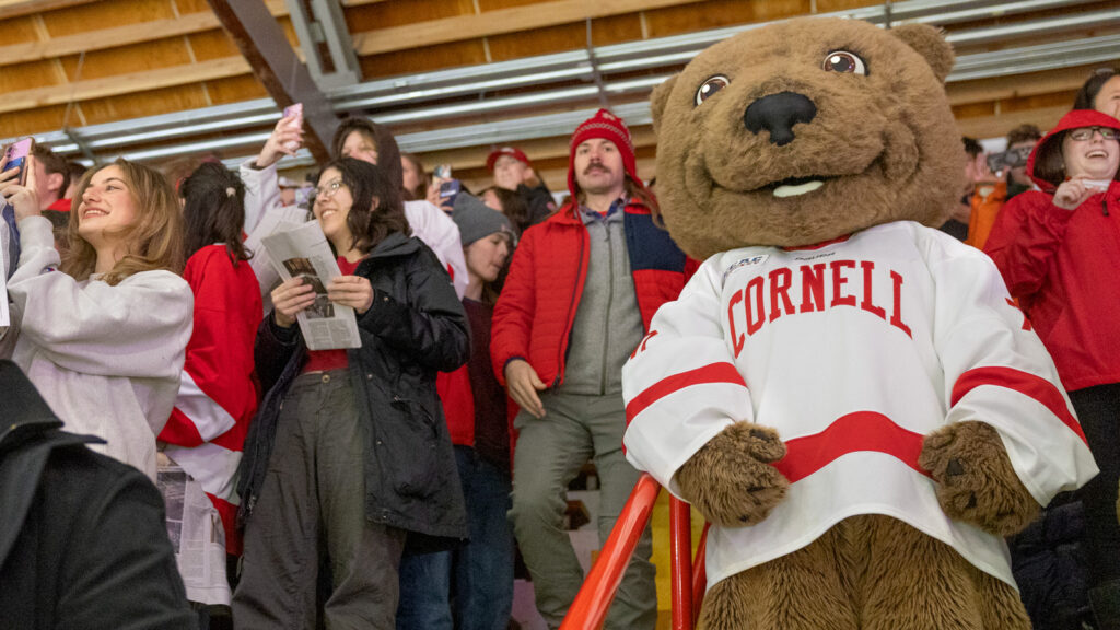 Cornell hockey fans and Touchdown in the stands at Lynah Rink.