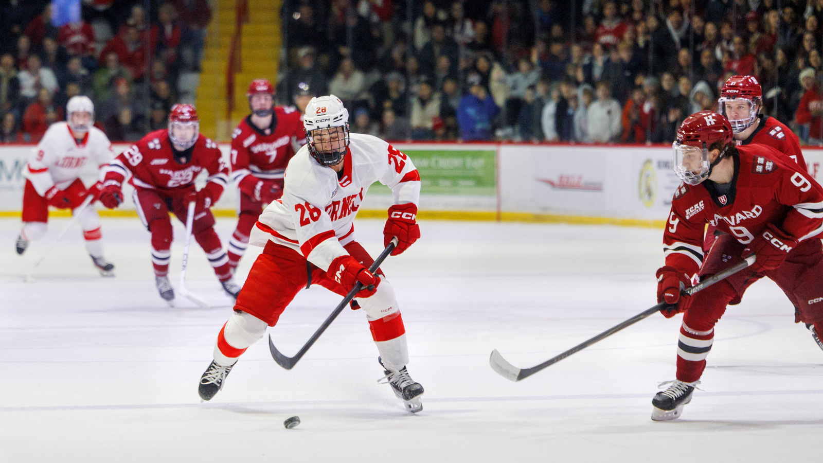 Cornell player Nick DeSantis skates down the ice with the puck with a Harvard defender to the side.