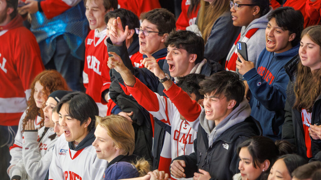 Cornell fans cheer in the stands while wearing Cornell apparel against Harvard in Lynah Rink.