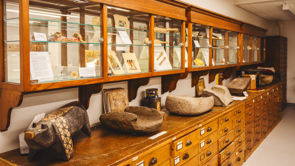 exhibits and display cases as part of the Anthropology Collaboratory currently housed in Olin Library