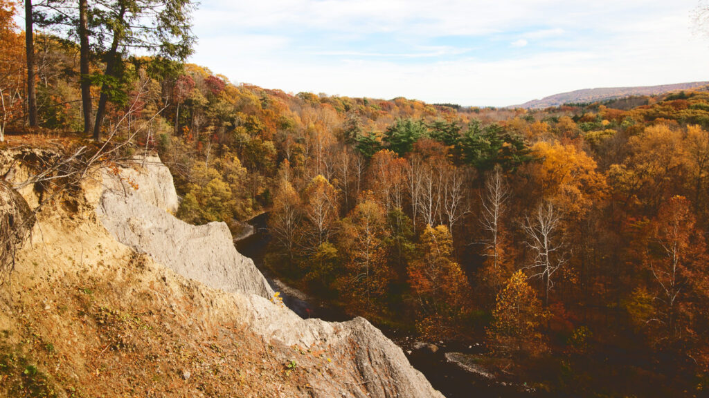 part of the Monkey Run Natural Area is one of the forest areas stewarded by the Cornell Botanic Gardens