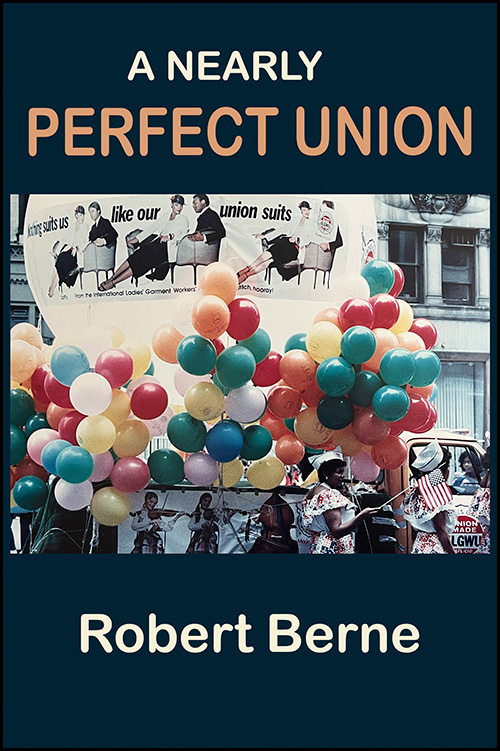 The cover of "A Nearly Perfect Union"