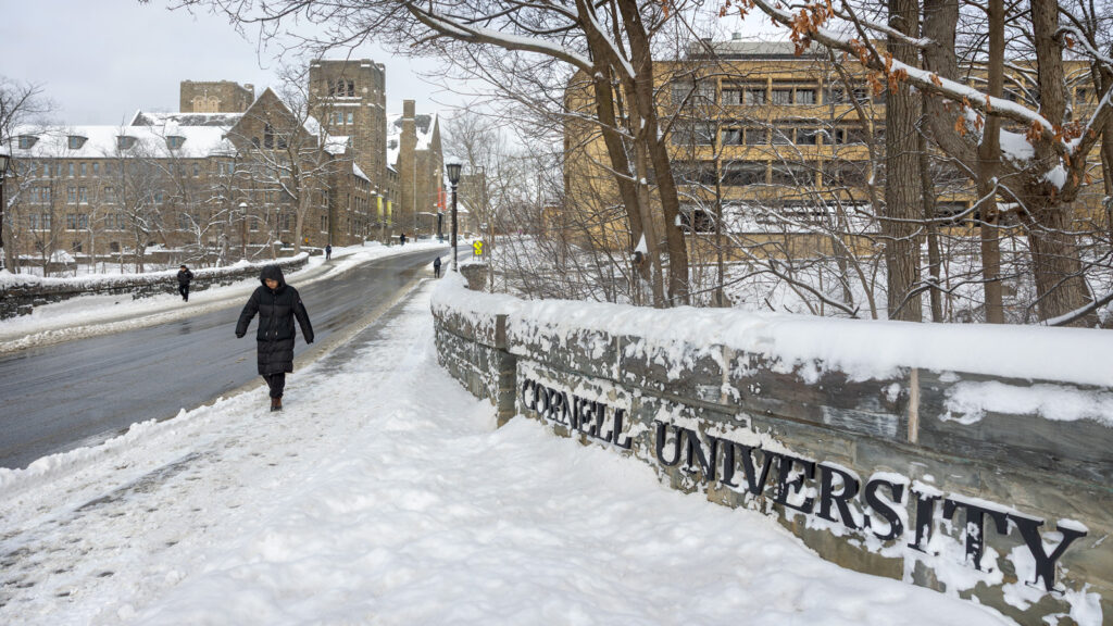 pedestrians traverse the sidewalks on College Avenue in winter