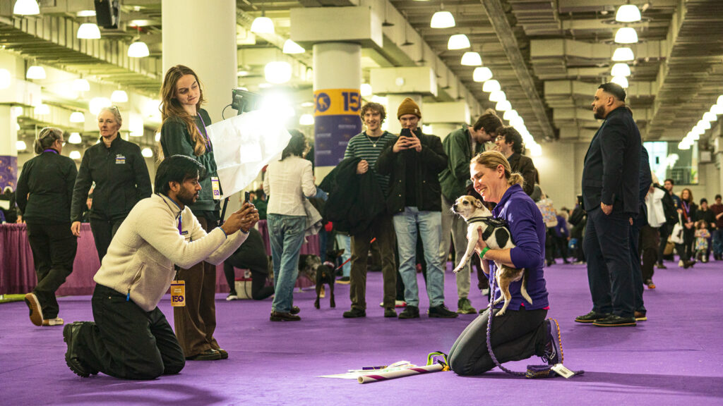 An owner smiles and kneels while holding up her small dog as people take photos of her at the 2026 Westminster Kennel Club Dog Show