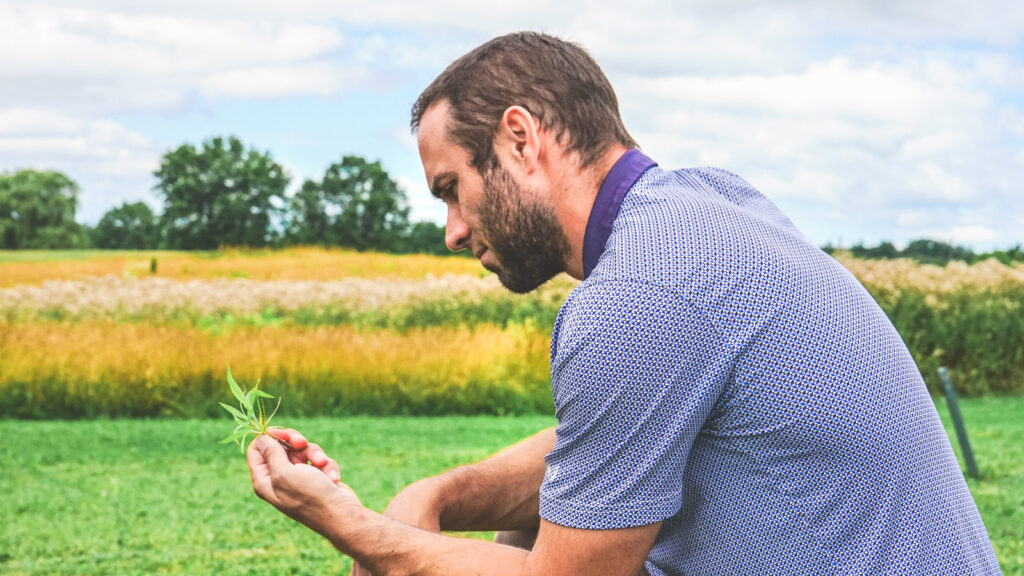 Carl Schimenti ’14, an extension support specialist with the Cornell turfgrass program, examines grass plantings at the University's Bluegrass Lane Turf and Landscape Research Center in Ithaca