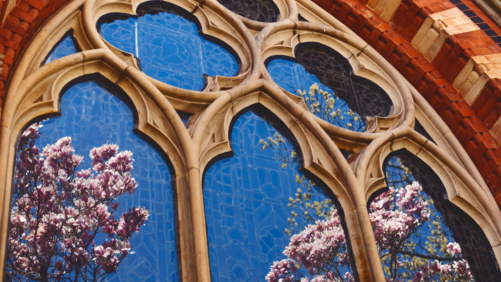 A reflection in a window shows flowers blooming across campus on a sunny spring day.