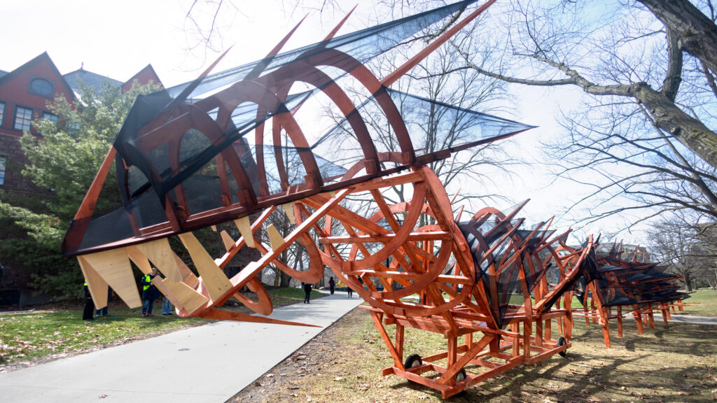 The dragon for Dragon Day 2026, featuring an orange, wooden body with black mesh and wooden teeth.