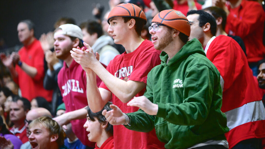 Two fans in the crown wearing basketball-shaped hats