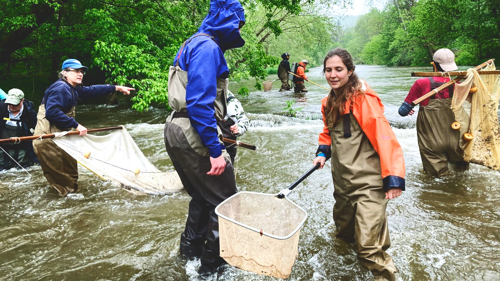 Katherine Bemis, right, samples freshwater fishes in Virginia streams in 2021 as part of an annual collecting trip