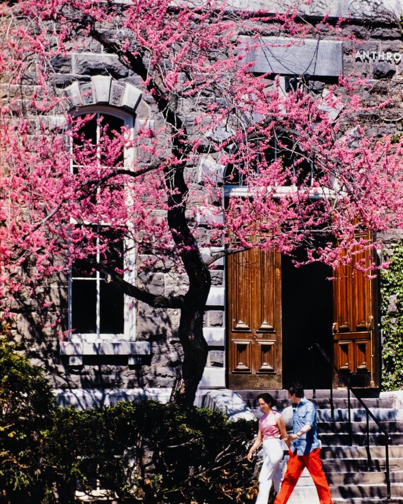 people walk past flowering redbud trees in front of McGraw Hall in spring 1984
