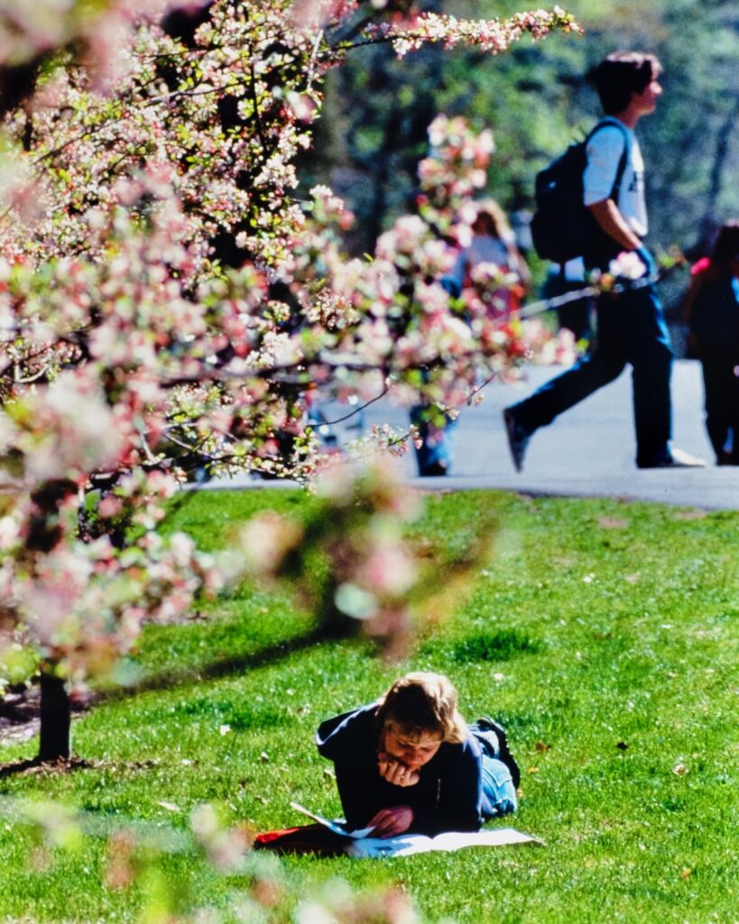 a student studies in the grass underneath flowering apple blossoms in spring 1984