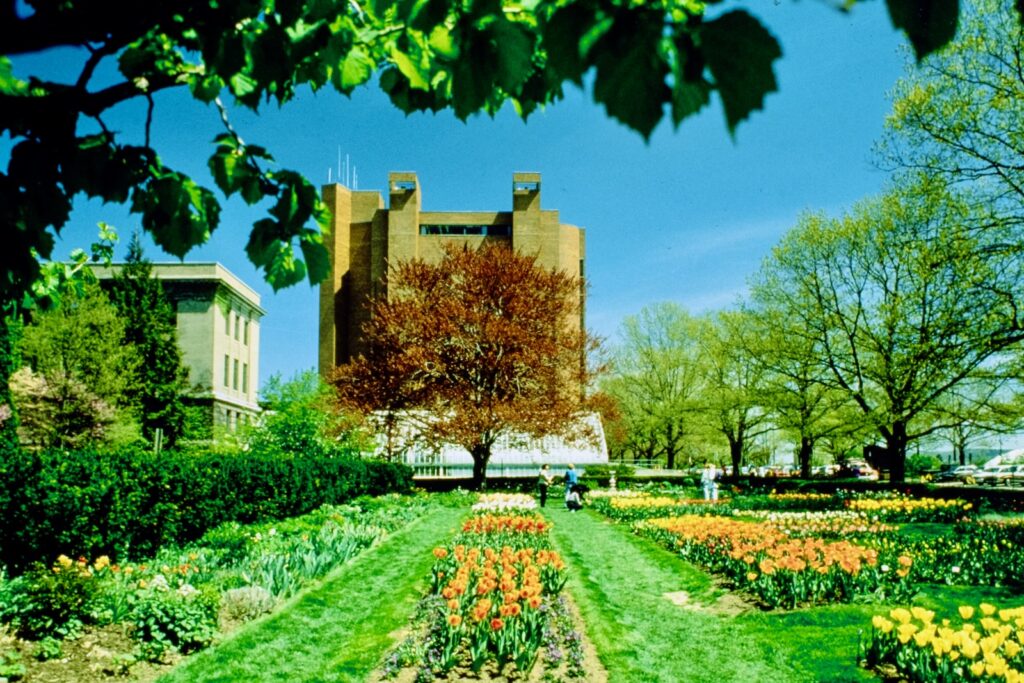 flowers bloom in gardens near Bradfield Hall and the Plant Sciences Building in spring 1988