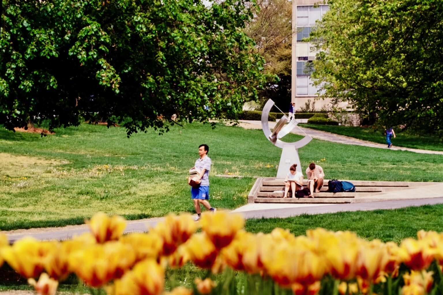 Flowers, Frisbees, and Fresh Air: Spring on the Hill, Across Decades ...