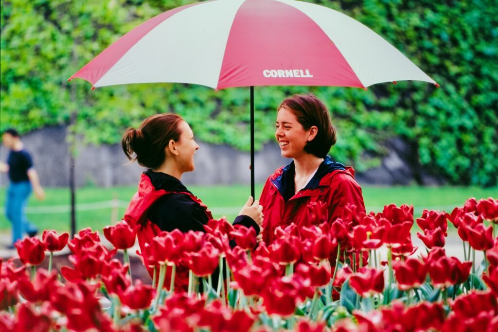 two students chat under a "Cornell" red-and-white umbrella with red tulips in the foreground in spring 1983