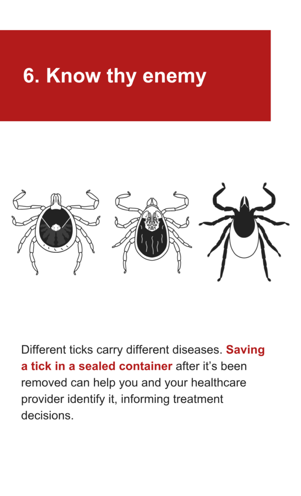 An illustration of three different types of ticks. The text says: 6. Know thy enemy. Different ticks carry different diseases. Saving a tick in a sealed container after it’s been removed can help you and your healthcare provider identify it, informing treatment decisions.