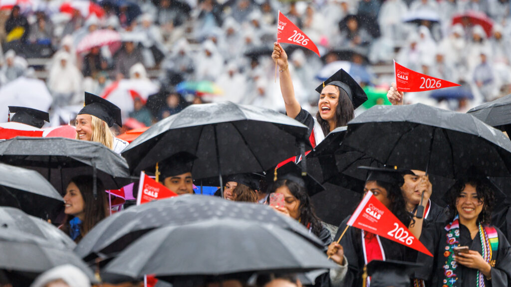 A grade waves a small 2026 pennant above a sea of black umbrellas