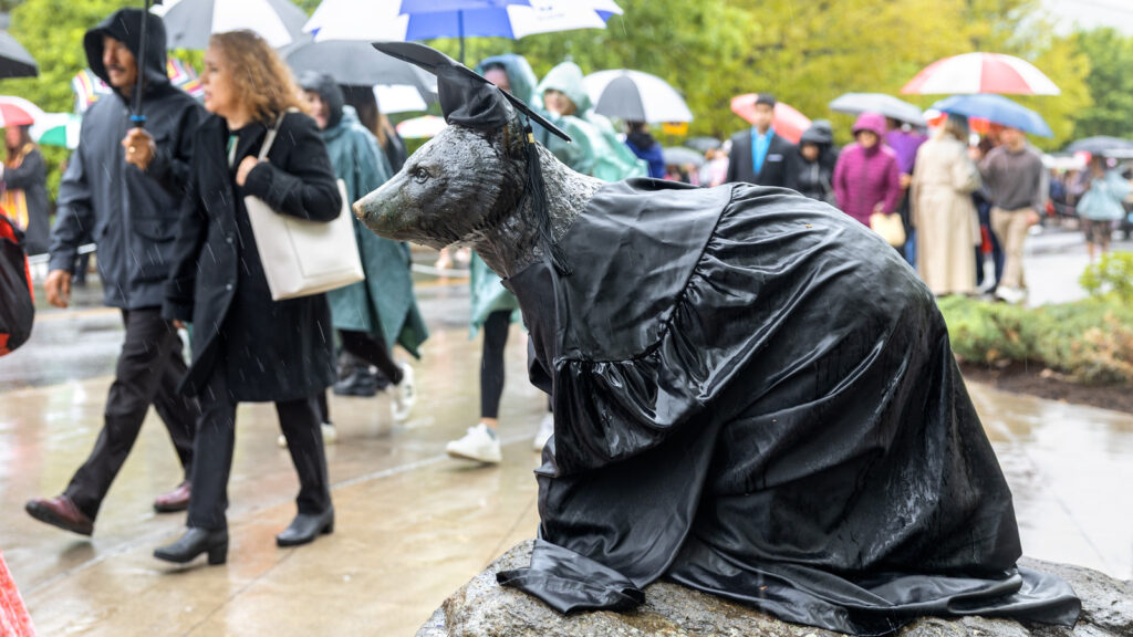 The Touchdown statue wearing a cap and gown, and soaked with water