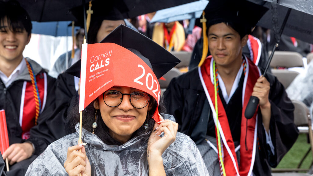 A graduate uses a pennant to cover her head from the rain