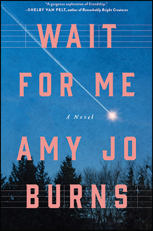 The cover of "Wait for Me"