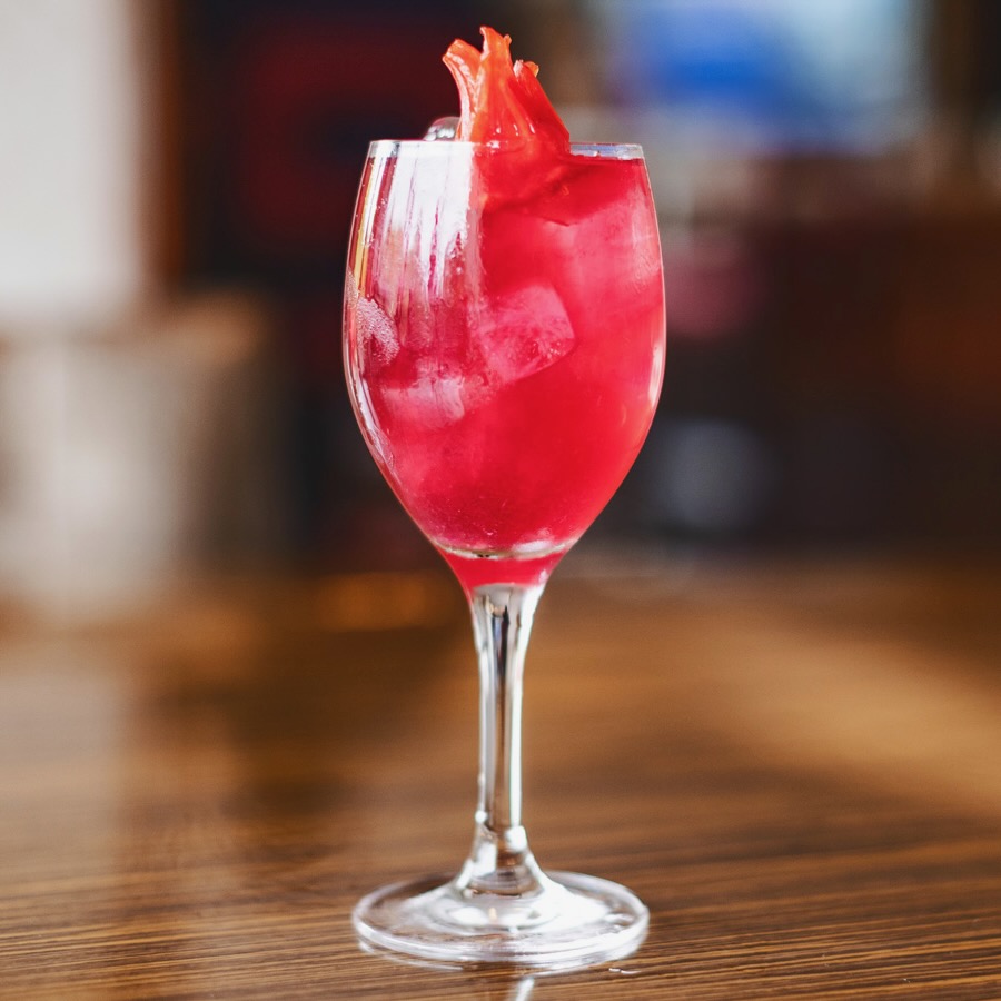 Hibiscus Spritz