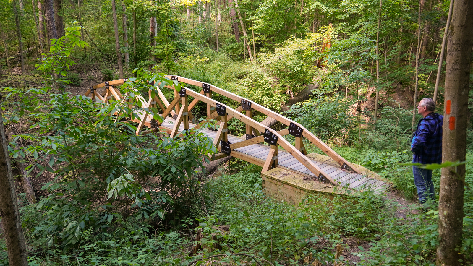 A man stands next to the monkey run bridge