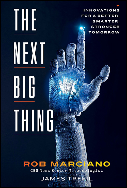 The cover of "The Next Big Thing"