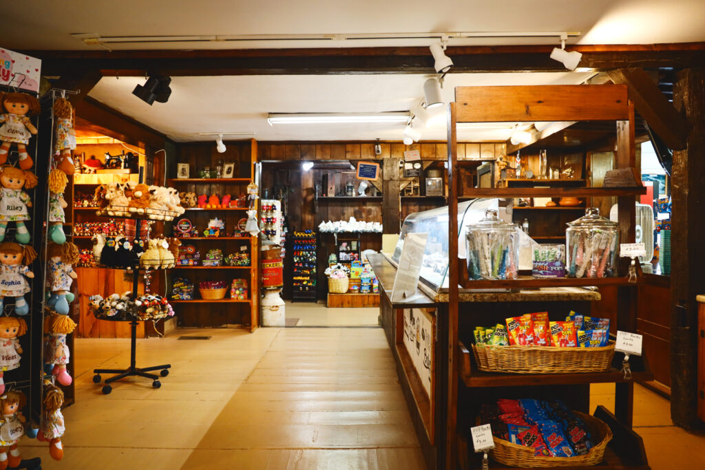The inside of the farm market, including an array of children's toys, candies, and a counter for fresh fudge.