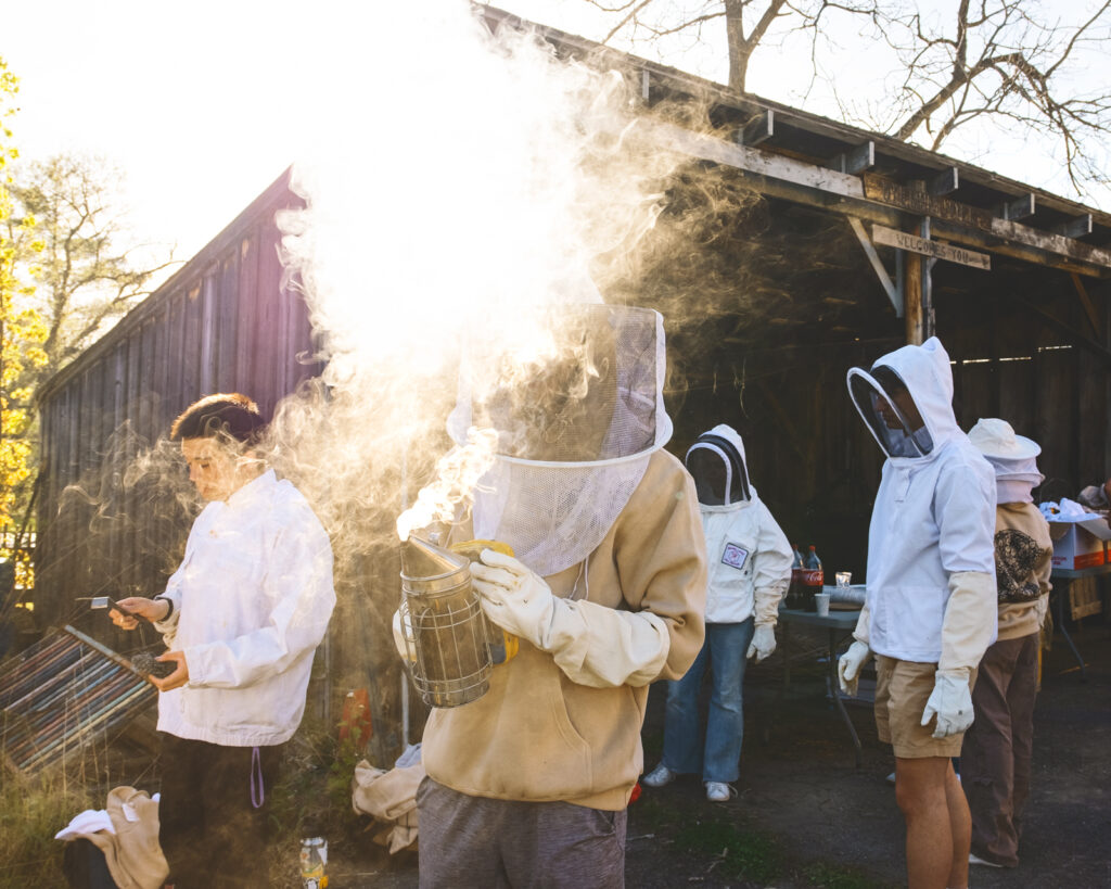members of the Bee Club at Cornell prepare to inspect hives, with one member holding a "smoker"—a steel can filled with burning material that emits a cool, white smoke that calms bees and masks their alarm pheromones
