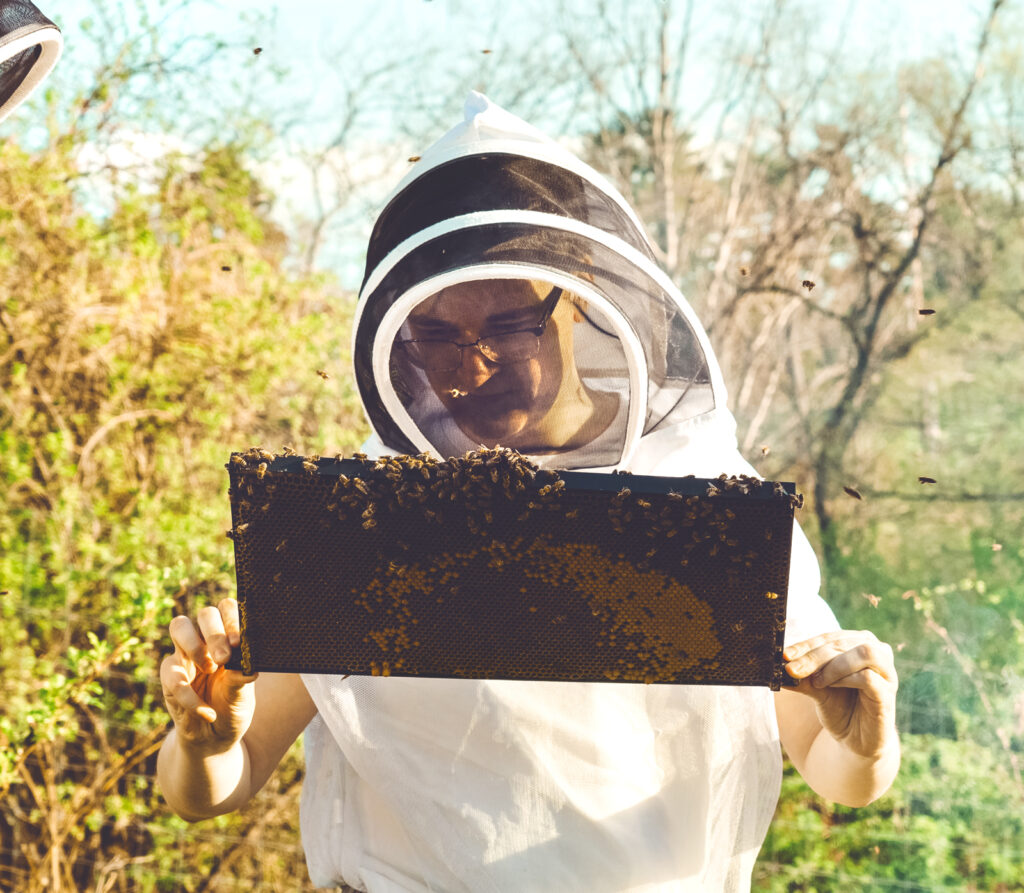 Daniel Sorokin, vice president of the Bee Club at Cornell, examines a frame from one of the hives as bees buzz around him