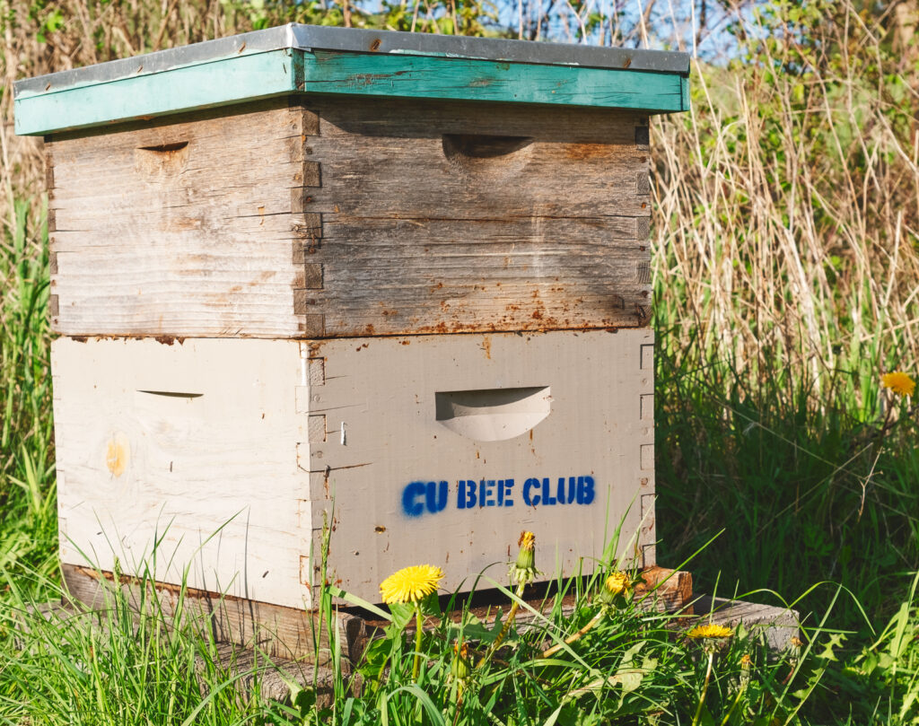 one of the "bee boxes" that holds a hive at the Dilmun Hill Student Farm