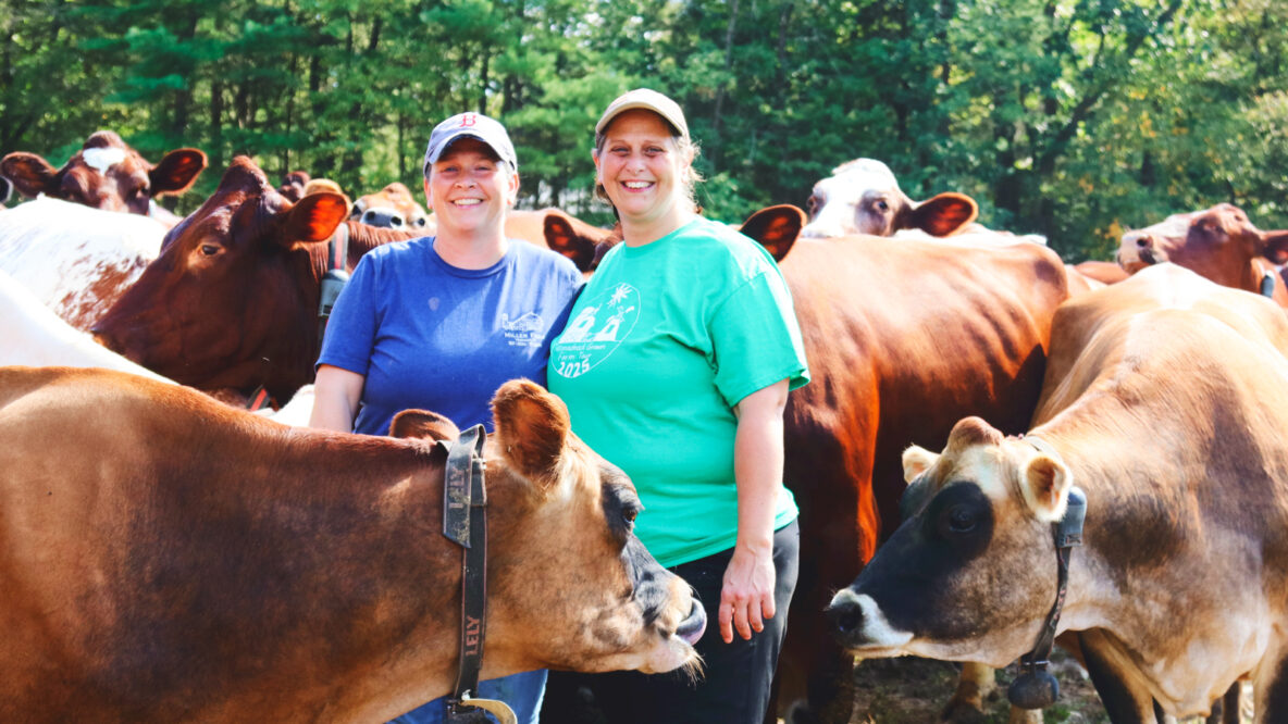 How Do these Sisters Make their Dairy Farm Thrive? Pudding!