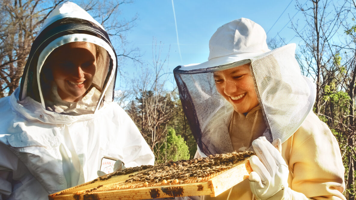 Buzzing With Excitement: This Student Group is a Hive of Activity