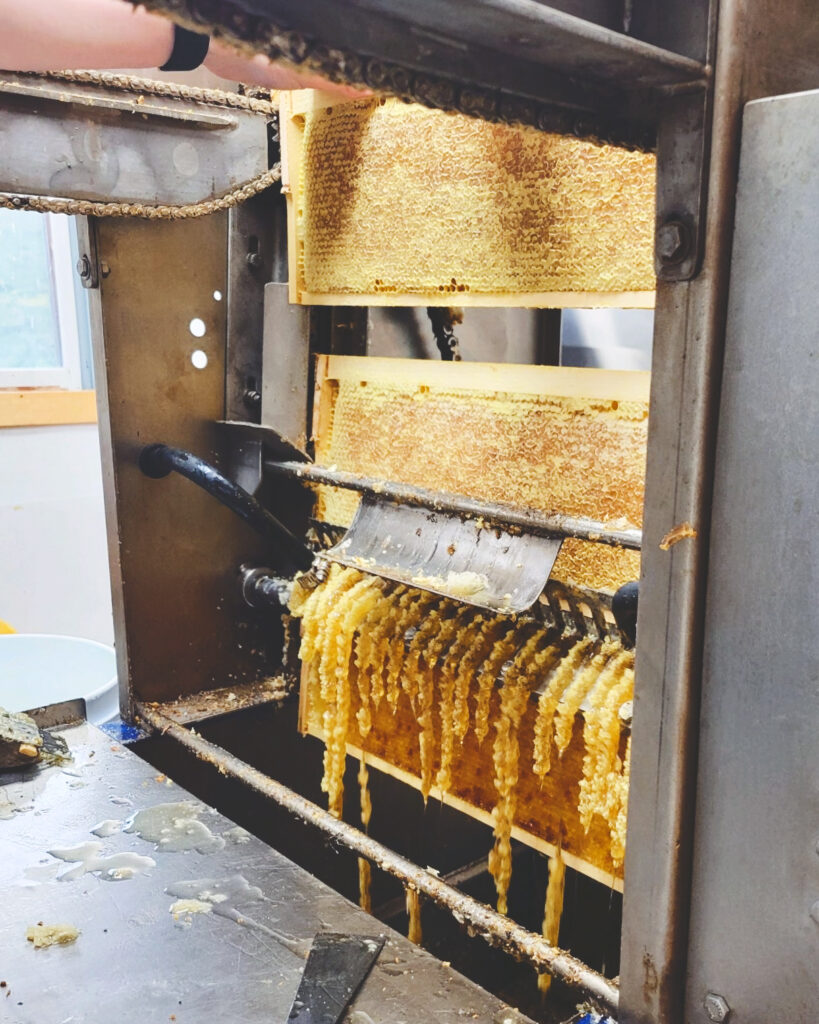 honey being processed from hives at a New York State honey house