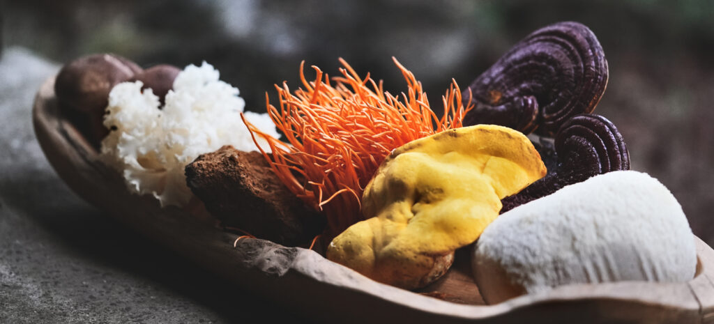 Seven varieties of mushrooms