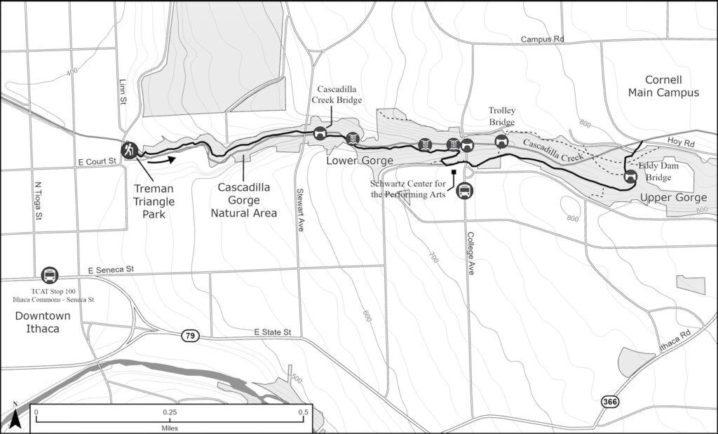 A map showing a hike in Cascadilla Gorge
