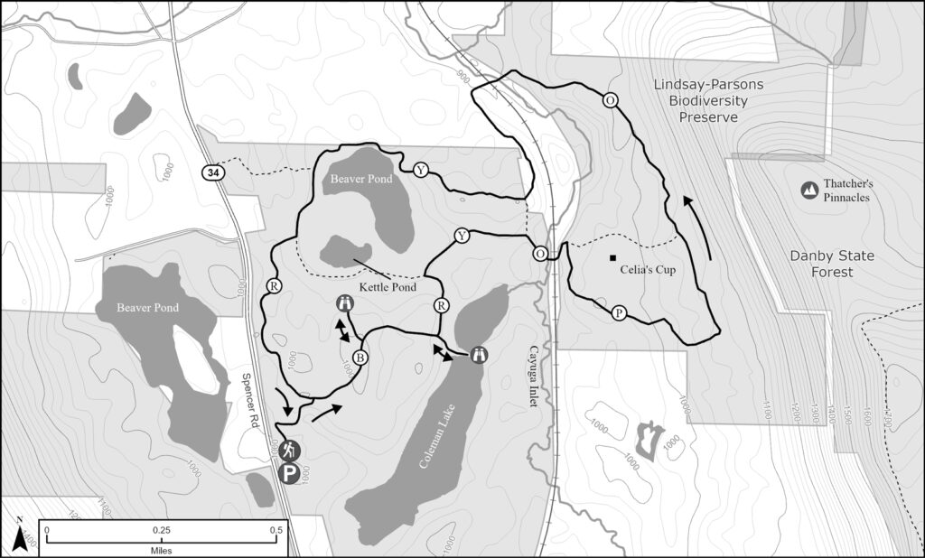 A map showing a hike in the Lindsay-Parsons Biodiversity Preserve